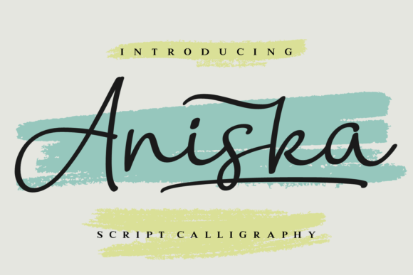 Aniska: A Refined Script Font for Small Business Branding
