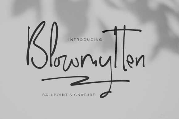 Blowmytten: An Elegant Script Font for Handmade Brands