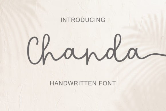 Chanda: A Warm, Confident Script for Real Brand Work