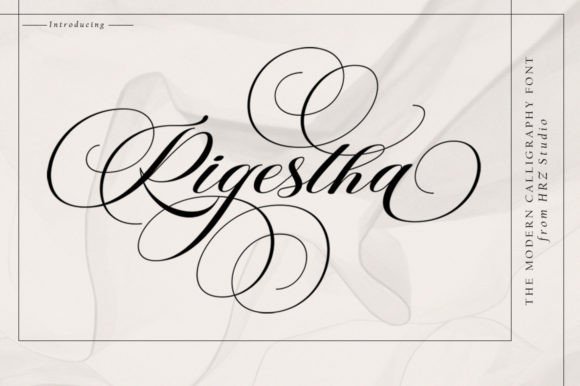 Rigestha: A Confident Script for Real Brand Work